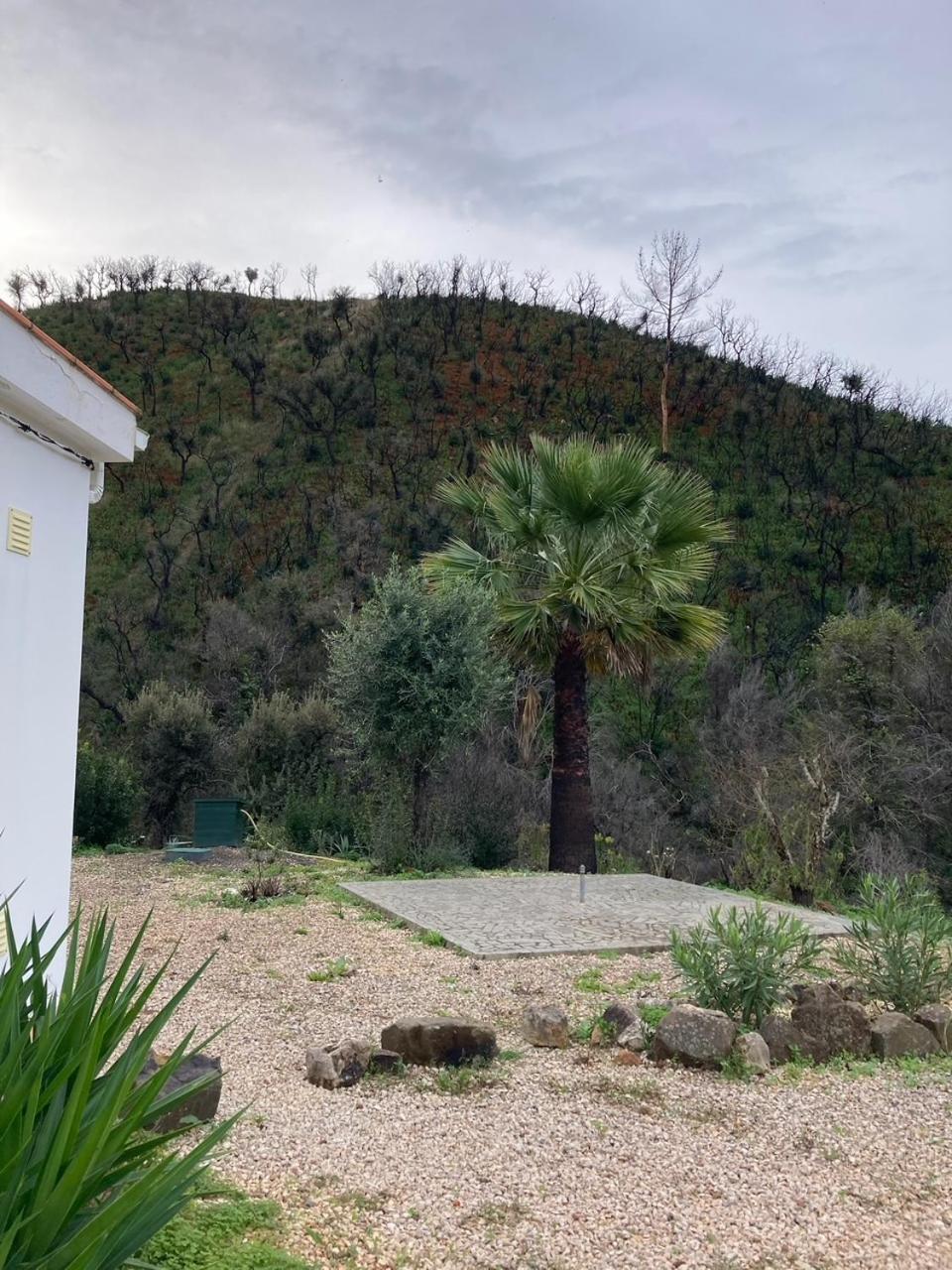 Villa Oleiro De Cima São Teotónio Exterior foto